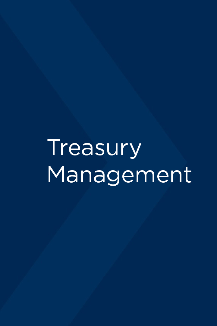 Treasury Management
